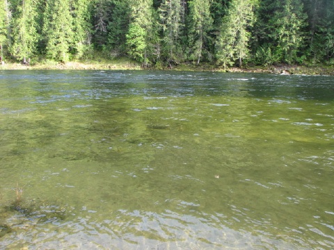 Flamingo Beach in early May